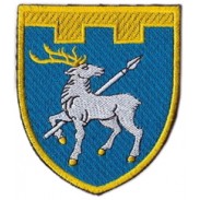 123th Separate Territorial Defense Brigade Patch  Mykolaiv (Nikolaev) region