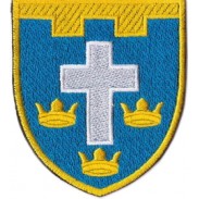 124th Separate Territorial Defense Brigade Patch  Kherson region