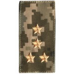 Captain. Ukraine Army Combat Rank Insignia, New Camo