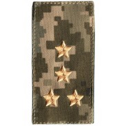 Captain. Ukraine Army Combat Rank Insignia, New Camo