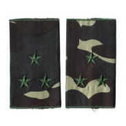 Ukraine Army Combat Slide Epaulets Pair. Senior Lieutenant